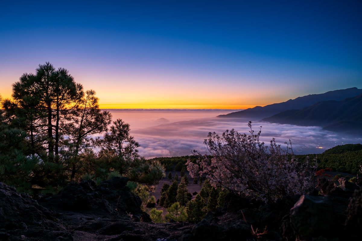 Pines and volcanic slopes silhouetted above clouds against a narrow orange and violet sunset.