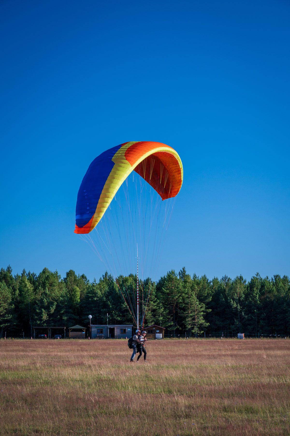 An orange and yellow paraglider descending toward the grass with the pilot's legs extended.