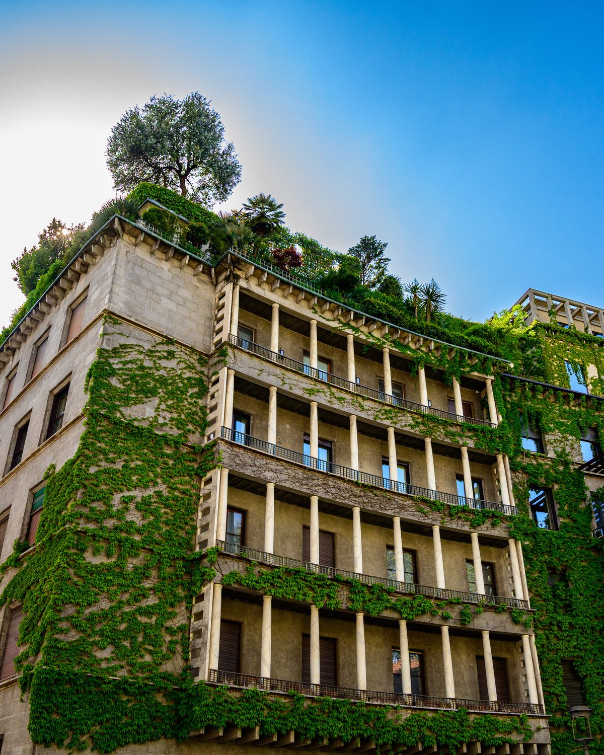 Climbing ivy covers the façade and balconies of an elegant Milanese building, while mature trees and rooftop vegetation soften its geometric architecture. The scene captures the lush side of Milan in spring, where historic buildings and urban greenery blend naturally together.
