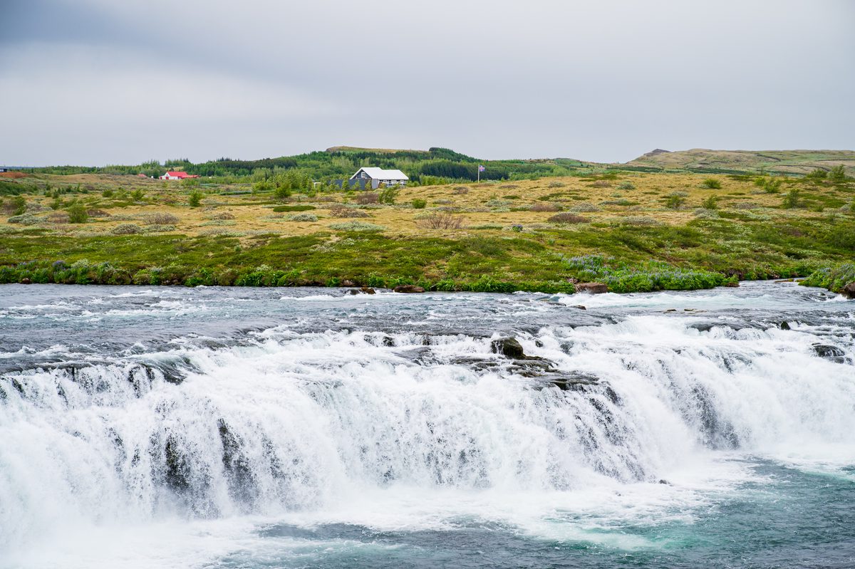The churning crest of a wide cascade framed by lush banks, with a solitary distant homestead flying the Icelandic flag, perfectly blending raw nature with rural tranquility.