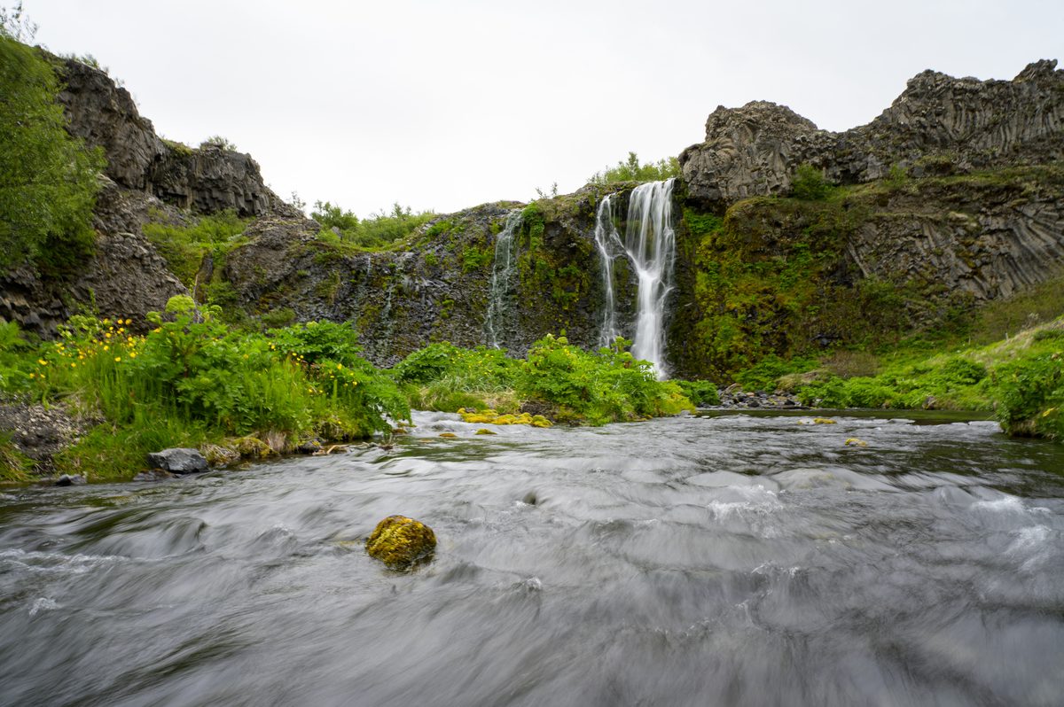 A fast-flowing river rushes past lush green banks and vibrant wildflowers, fed by a delicate waterfall cascading over striking basalt columns in a secluded, verdant valley.
