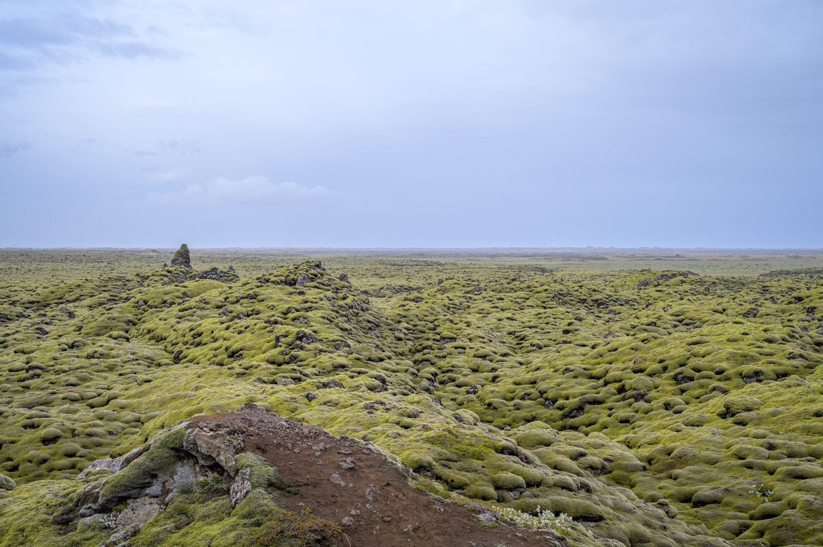 Soft green moss rolls across an immense lava field, broken only by dark stones and a small distant cairn.