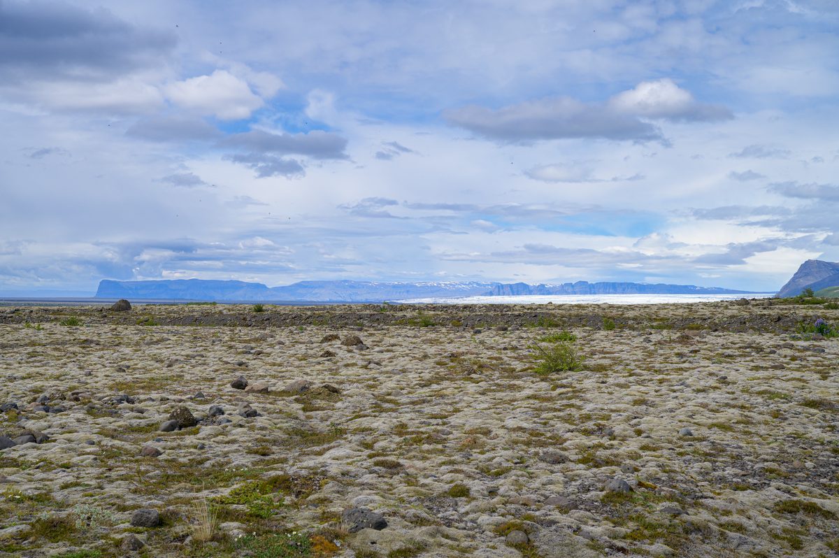 A silver-green moss field rolls across an old lava landscape toward distant mountains and sea.