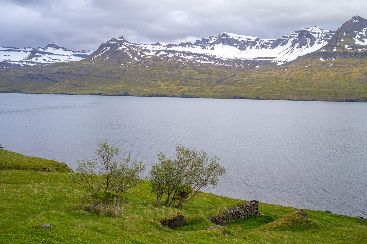 Low stone ruins and wind-shaped trees overlook still water and the snow-crowned mountains across Mjóifjörður.