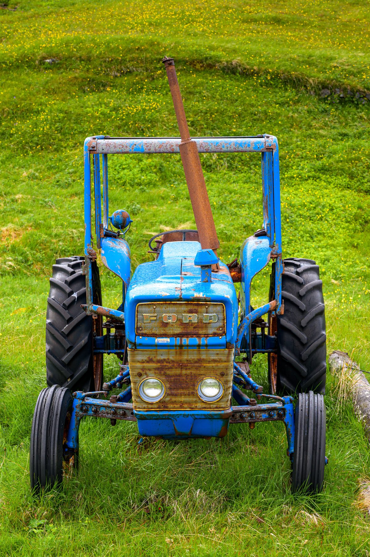 A weathered blue Ford tractor stands in tall grass, its rust and faded paint echoing decades of farm work.