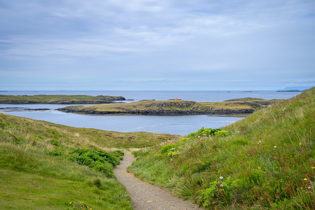 A gravel footpath winds between grassy slopes and yellow wildflowers toward calm blue water and low, rocky islands off Stykkishólmur.
