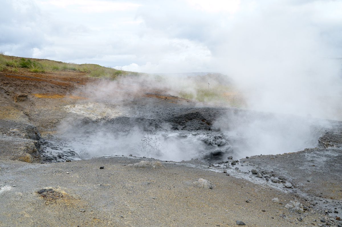 White steam billows from a dark geothermal hollow at Seltún, partly veiling the exposed rock beneath a low grassy ridge.